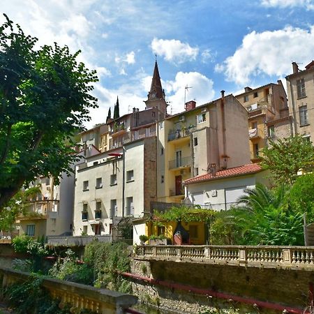 T2 Tout Confort Amelie-les-Bains-Palalda Exterior photo
