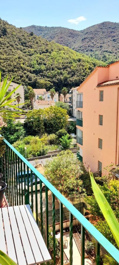 T2 Tout Confort Amelie-les-Bains-Palalda Exterior photo
