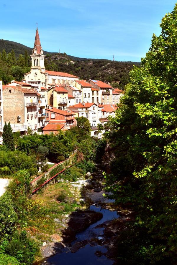 T2 Tout Confort Amelie-les-Bains-Palalda Exterior photo