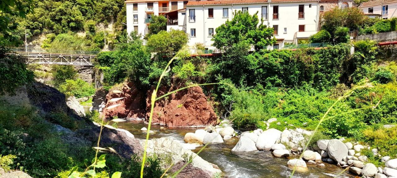 T2 Tout Confort Amelie-les-Bains-Palalda Exterior photo